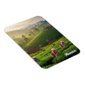 Munnar Kerala Indien Teeplantage Magnet (Rechte Seite)