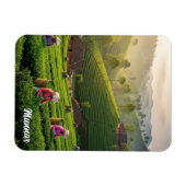 Munnar Kerala Indien Teeplantage Magnet (Horizontal)