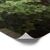 Munson Grist Mill Poster (Ecke)