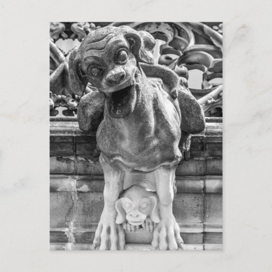 Munster Cathedral Gargoyle - Bern - Schweiz Postkarte (Vorderseite)