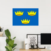 Munster, irische Flagge Poster (Heimbüro)