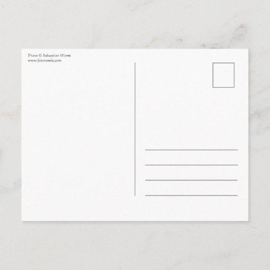 Münster Postkarte (Rückseite)