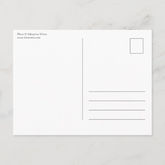 Münster Postkarte (Rückseite)