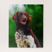Munsterlander Dog. Puzzle (Vertikal)