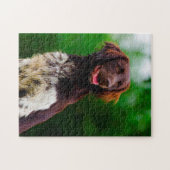 Munsterlander Dog. Puzzle (Horizontal)