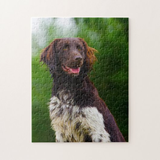 Munsterlander Dog. Puzzle (Vertikal)