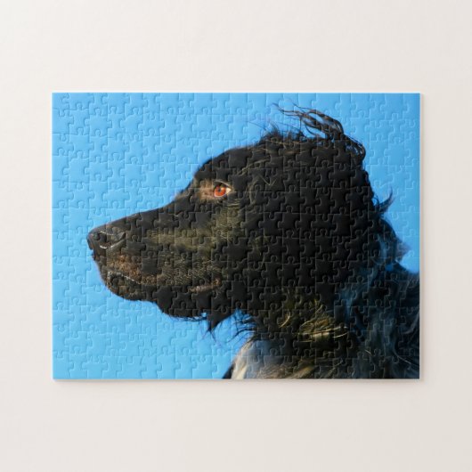 Munsterlander Dog. Puzzle (Horizontal)