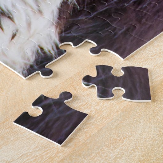 Munsterlander Dog. Puzzle (Seite)