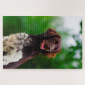 Munsterlander Dog. Puzzle (Horizontal)