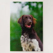Munsterlander Dog. Puzzle (Vertikal)