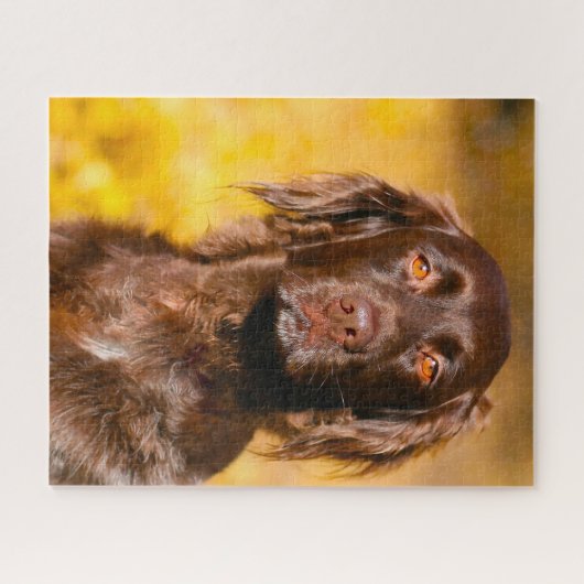 Munsterlander Dog. Puzzle (Horizontal)