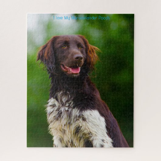 Münsterländer Hund. Puzzle (Vertikal)
