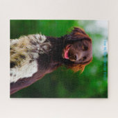 Münsterländer Hund. Puzzle (Horizontal)