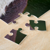 Münsterländer Hund. Puzzle (Seite)