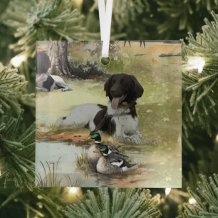 Munsterlander Ornament Aus Glas