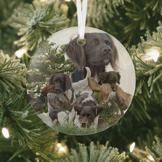 Munsterlander Ornament Aus Glas (InSitu)