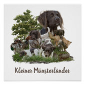 Munsterlander , vielseitiges Jagd-Zeigemittel Poster (Vorderseite)