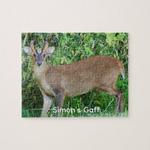 Muntjak-Hirsch-Wildfoto-Personalisiertes-Puzzle Puzzle