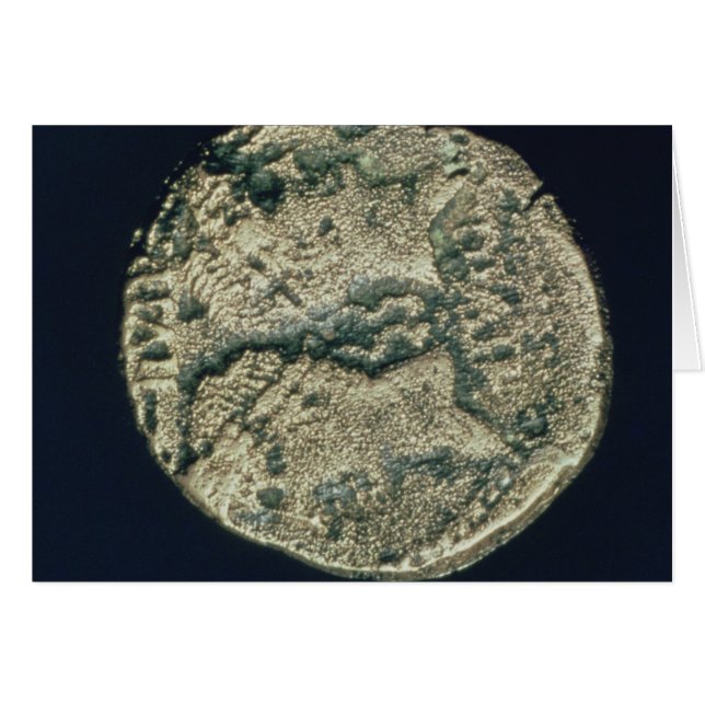 Münze mit den Köpfen von Julius Cäsar und Augustus (Vorderseite (Horizontal))