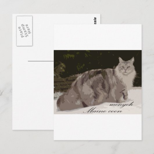 Münze Postkarte (Vorne/Hinten)