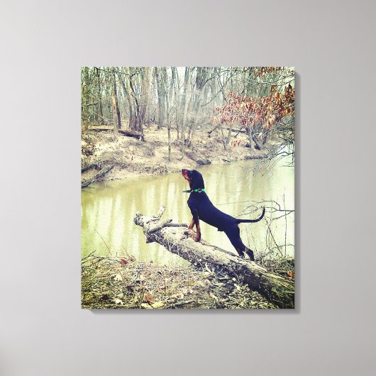 Münzhund an der Leinwand (Vorderseite)