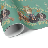 Münzhund kann nicht nur einen haben geschenkpapier (Rolleneckpunkt)