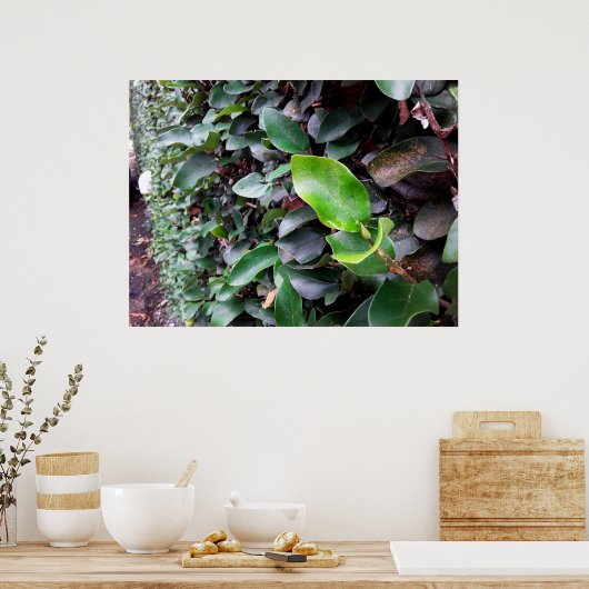 mural poster (Küche)