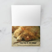 Müred Kitty will dir, seine Karte zu beenden (Innenseite)