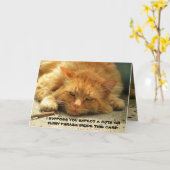 Müred Kitty will dir, seine Karte zu beenden (Gelbe Blume)