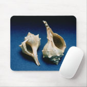 Murex-Muschel Mousepad (Mit Mouse)