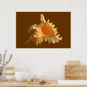 Murex Ramous Poster (Küche)