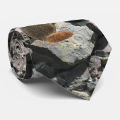 Murmeltier auf den Felsen Krawatte (Gerollt)