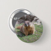 Murmeltier Button (Vorne & Hinten)