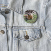 Murmeltier Button (Beispiel)