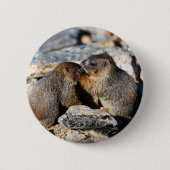 Murmeltier Button (Vorderseite)