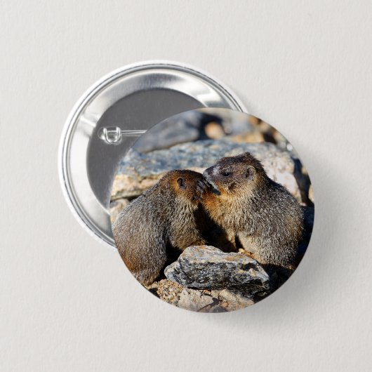 Murmeltier Button (Vorne & Hinten)