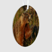 Murmeltier, das Gras isst Ornament (Vorderseite)