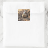 Murmeltier-Geburtstagsfeierhut Quadratischer Aufkleber (Tasche)