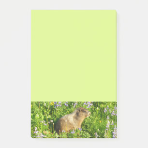 Murmeltier in Mount Rainier Wildblumen Post-it Klebezettel