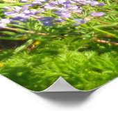 Murmeltier in Mount Rainier Wildblumen Poster (Ecke)