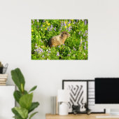 Murmeltier in Mount Rainier Wildblumen Poster (Heimbüro)