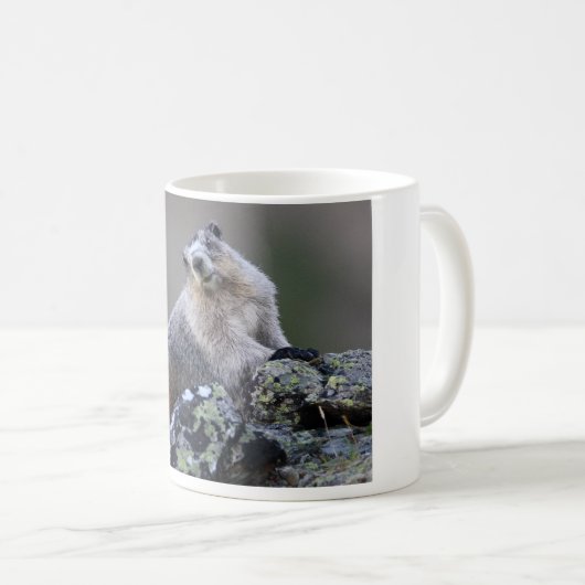 Murmeltier Kaffeetasse (VorderseiteRechts)