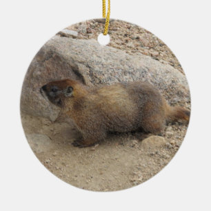 Murmeltier Keramikornament