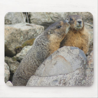 Murmeltier-Liebe Mousepad