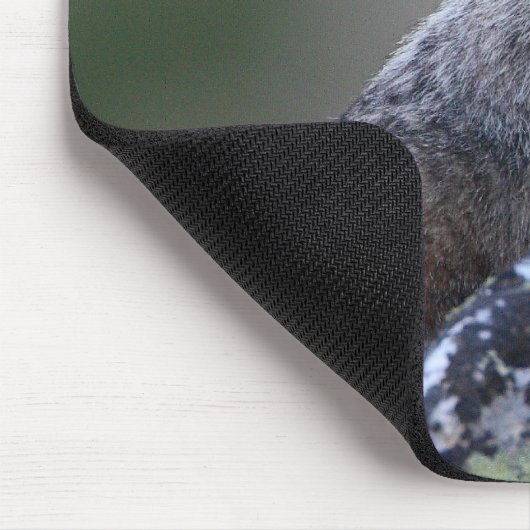 Murmeltier Mousepad (Ecke)