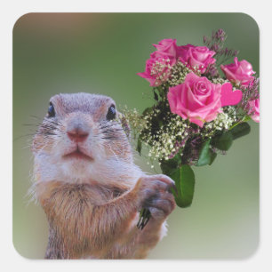 Murmeltierblumenstrauß Quadratischer Aufkleber