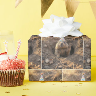 Murmeltiere mit einer Geburtstagsmütze Geschenkpapier