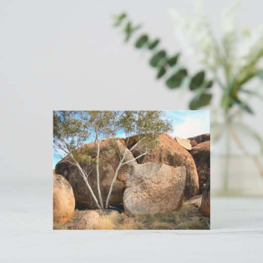 Murmeltiere Postkarte (Stehend Vorderseite)