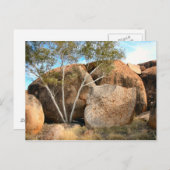 Murmeltiere Postkarte (Vorne/Hinten)