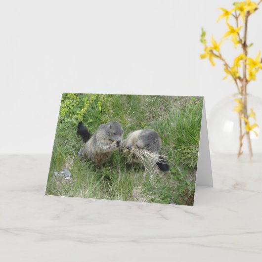 Murmeltiergrußkarte Karte (Gelbe Blume)